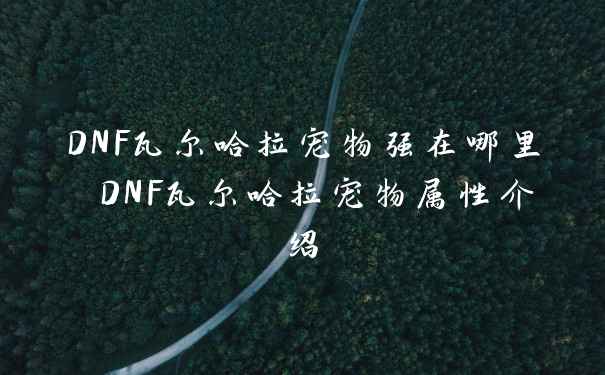 DNF瓦尔哈拉宠物强在哪里 DNF瓦尔哈拉宠物属性介绍
