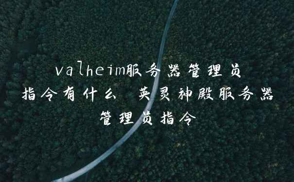 valheim服务器管理员指令有什么 英灵神殿服务器管理员指令