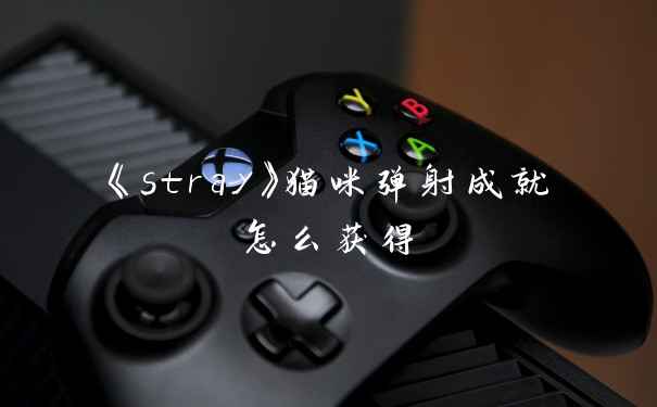 《stray》猫咪弹射成就怎么获得