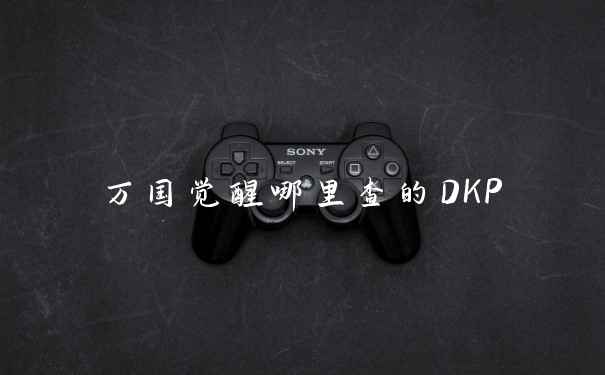 万国觉醒哪里查的DKP