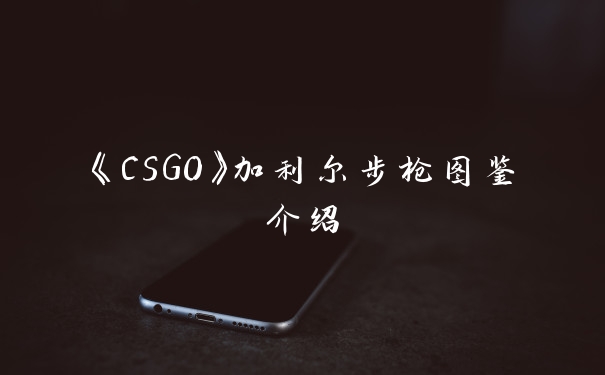 《CSGO》加利尔步枪图鉴介绍