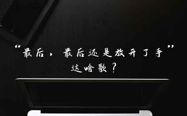 “最后，最后还是放开了手”这啥歌？