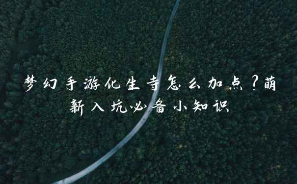 梦幻手游化生寺怎么加点？萌新入坑必备小知识