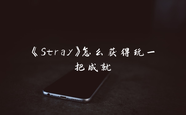 《Stray》怎么获得玩一把成就