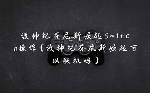 渡神纪芬尼斯崛起switch操作（渡神纪芬尼斯崛起可以联机吗）