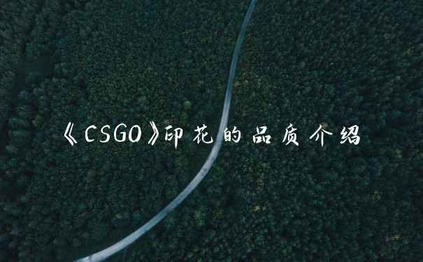 《CSGO》印花的品质介绍
