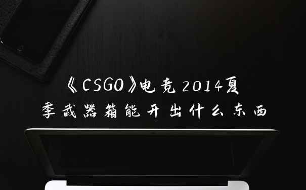《CSGO》电竞2014夏季武器箱能开出什么东西