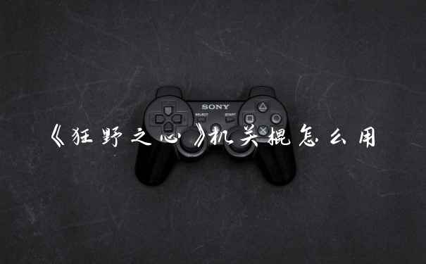 《狂野之心》机关棍怎么用