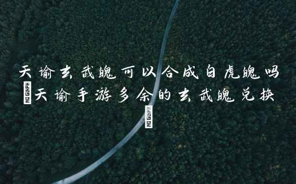 天谕玄武魄可以合成白虎魄吗(天谕手游多余的玄武魄兑换)