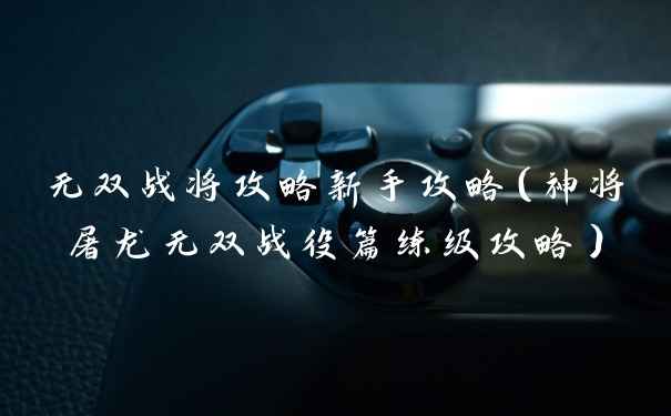 无双战将攻略新手攻略(神将屠龙无双战役篇练级攻略)