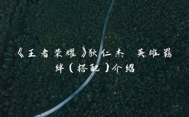 《王者荣耀》狄仁杰 英雄羁绊（搭配）介绍