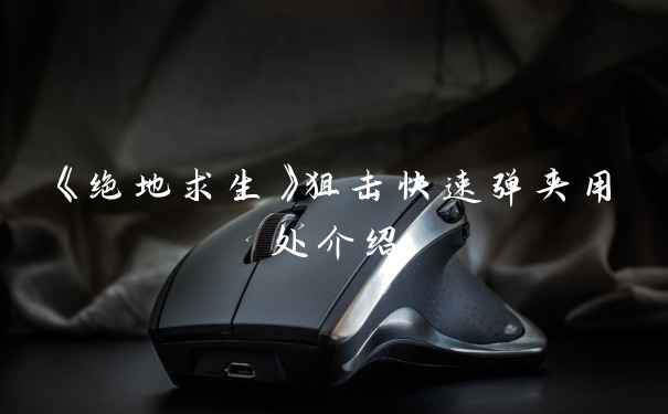 《绝地求生》狙击快速弹夹用处介绍