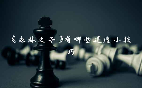 《森林之子》有哪些建造小技巧