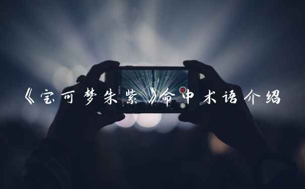 《宝可梦朱紫》命中术语介绍