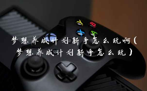 梦想养成计划新手怎么玩啊(梦想养成计划新手怎么玩)