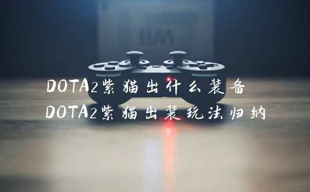 DOTA2紫猫出什么装备 DOTA2紫猫出装玩法归纳