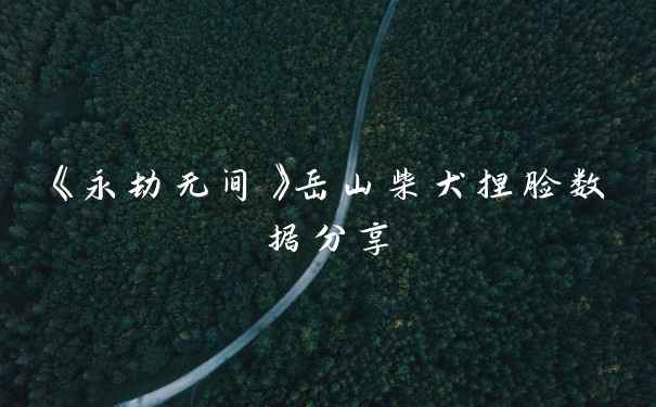 《永劫无间》岳山柴犬捏脸数据分享