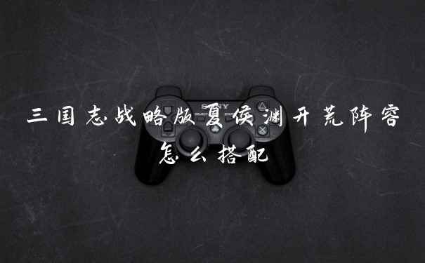 三国志战略版夏侯渊开荒阵容怎么搭配