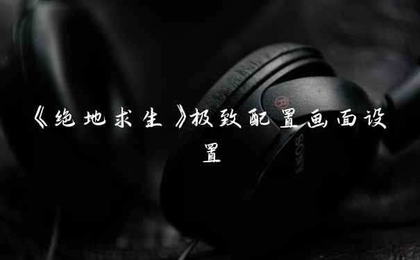 《绝地求生》极致配置画面设置