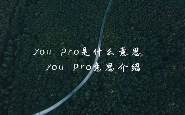 you pro是什么意思 you pro意思介绍