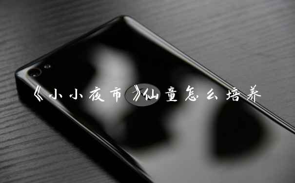 《小小夜市》仙童怎么培养