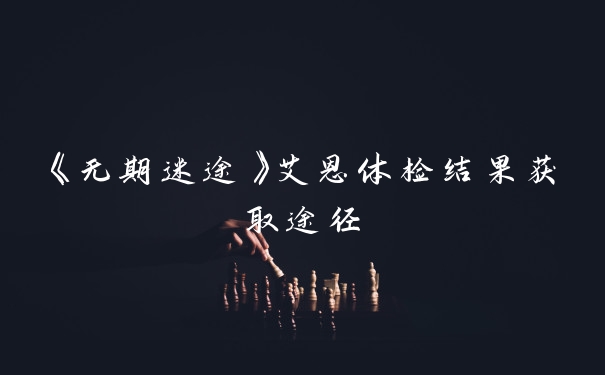 《无期迷途》艾恩体检结果获取途径