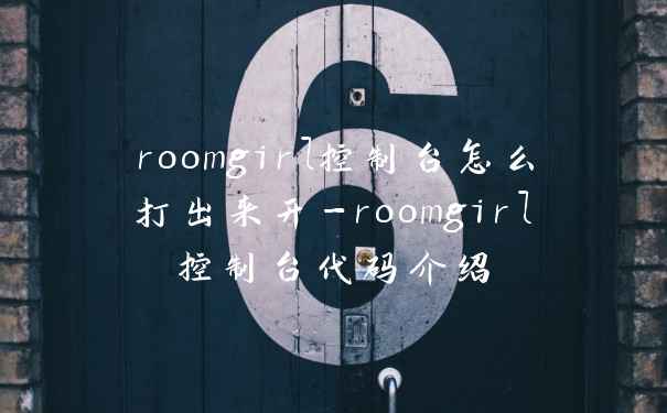 roomgirl控制台怎么打出来开-roomgirl控制台代码介绍