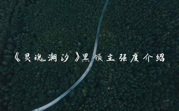 《灵魂潮汐》黑领主强度介绍