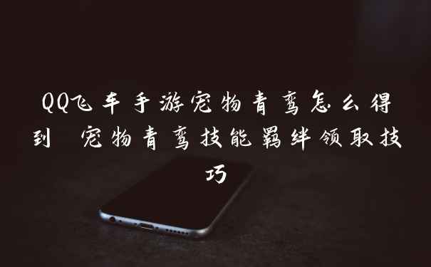 QQ飞车手游宠物青鸾怎么得到 宠物青鸾技能羁绊领取技巧