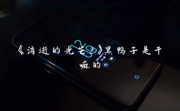 《消逝的光芒2》黑鸭子是干嘛的
