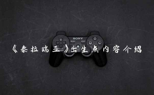 《泰拉瑞亚》出生点内容介绍
