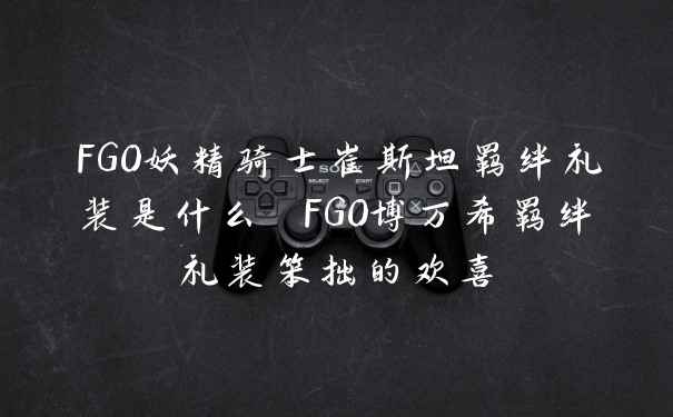 FGO妖精骑士崔斯坦羁绊礼装是什么 FGO博万希羁绊礼装笨拙的欢喜