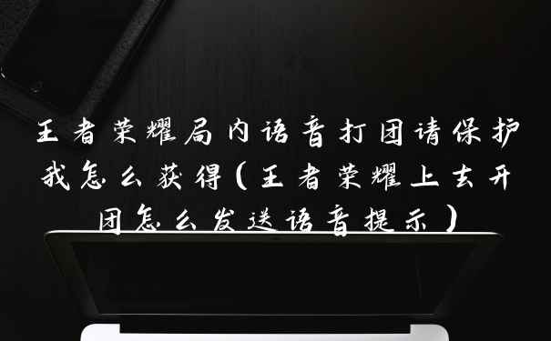 王者荣耀局内语音打团请保护我怎么获得（王者荣耀上去开团怎么发送语音提示）