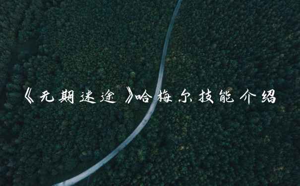 《无期迷途》哈梅尔技能介绍