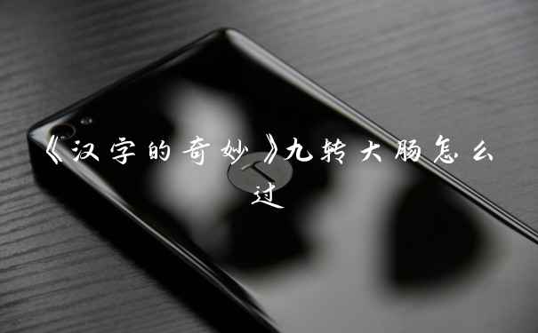 《汉字的奇妙》九转大肠怎么过