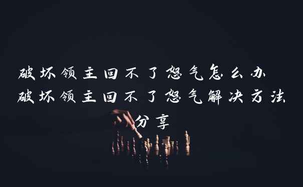 破坏领主回不了怒气怎么办 破坏领主回不了怒气解决方法分享
