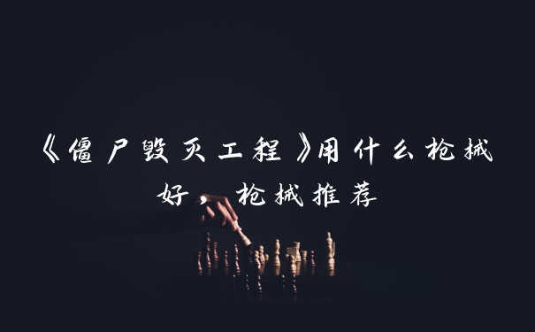 《僵尸毁灭工程》用什么枪械好，枪械推荐