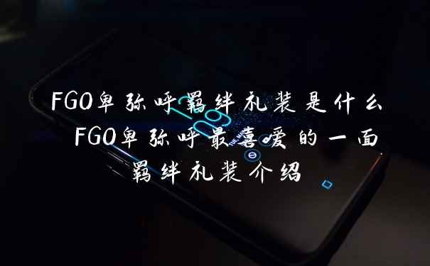 FGO卑弥呼羁绊礼装是什么 FGO卑弥呼最喜爱的一面羁绊礼装介绍