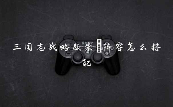 三国志战略版朱儁阵容怎么搭配