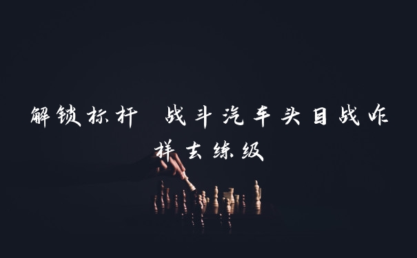 解锁标杆 战斗汽车头目战咋样去练级