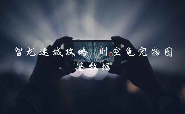 智龙迷城攻略 时空龟宠物图鉴数据