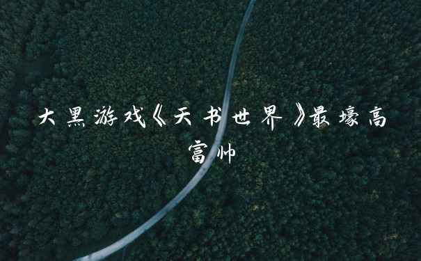 大黑游戏《天书世界》最壕高富帅
