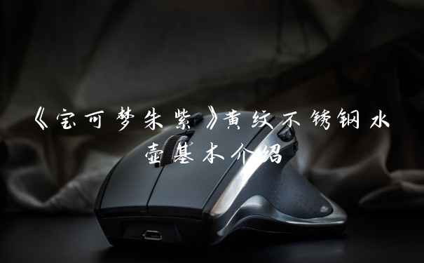 《宝可梦朱紫》黄纹不锈钢水壶基本介绍