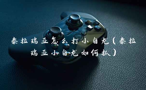 泰拉瑞亚怎么打小白龙（泰拉瑞亚小白龙如何抓）