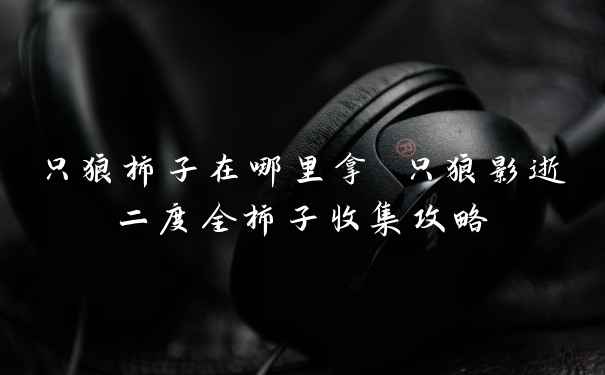 只狼柿子在哪里拿 只狼影逝二度全柿子收集攻略