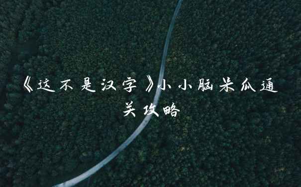 《这不是汉字》小小脑呆瓜通关攻略