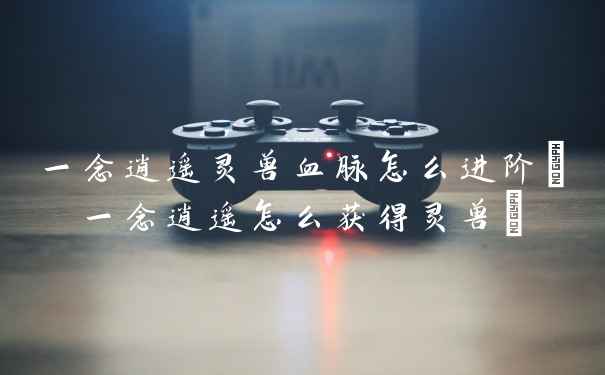 一念逍遥灵兽血脉怎么进阶(一念逍遥怎么获得灵兽)