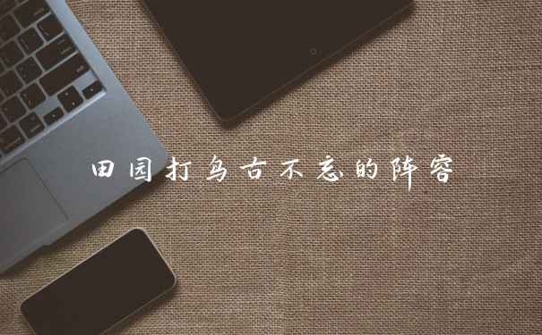 田园打鸟古不忘的阵容