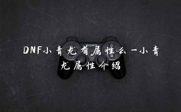 DNF小青龙有属性么-小青龙属性介绍