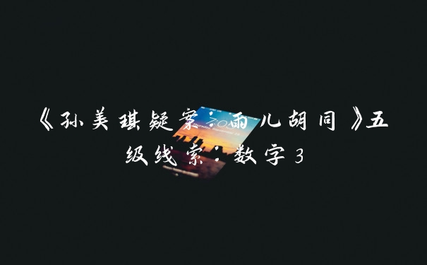 《孙美琪疑案:雨儿胡同》五级线索:数字3